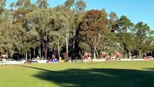 HDFNL: White Hills v Heathcote.  August 1, 2026.
