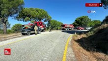 Balıkesir'de yangınların enerjisi düştü