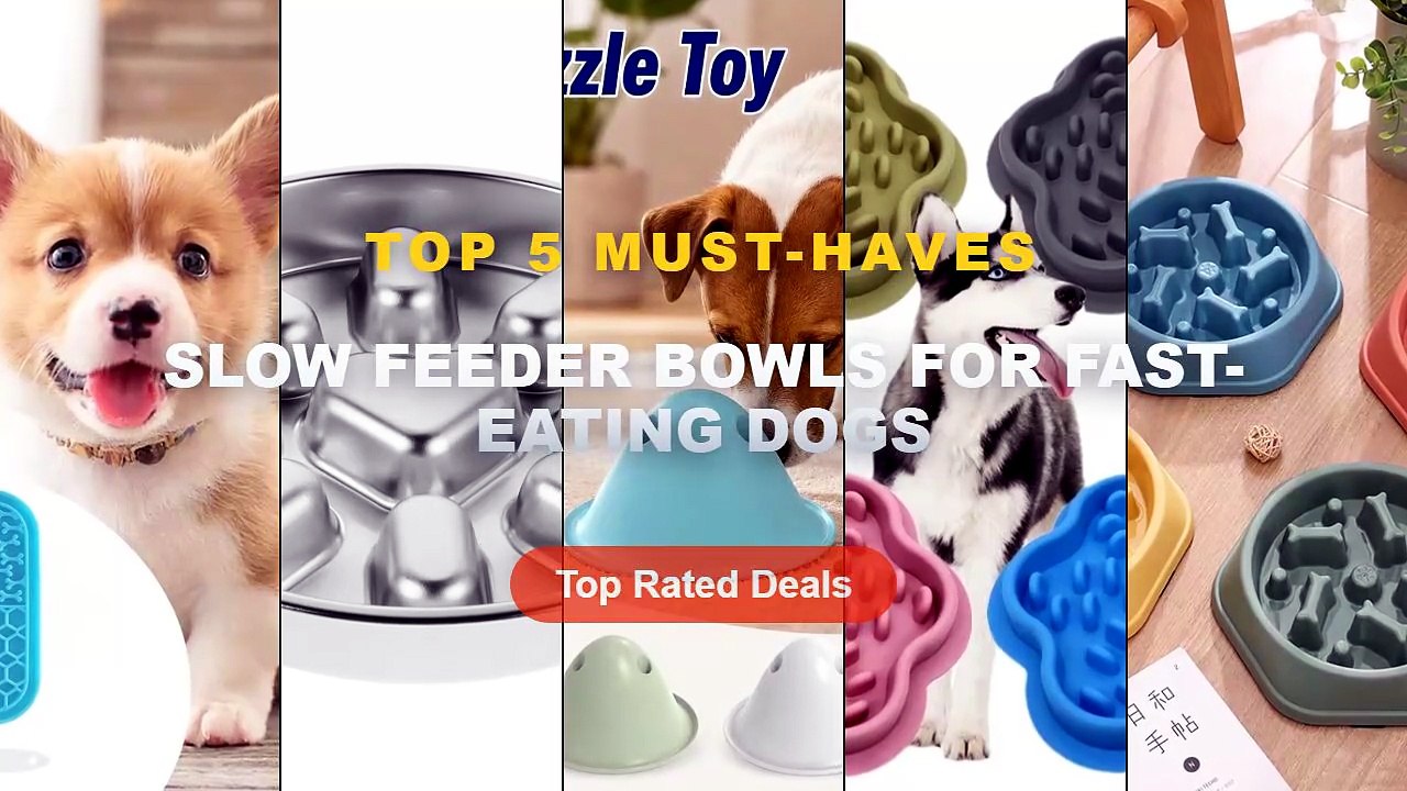 Best Slow Feeder Bowls For Fast-Eating Dogs on AliExpress | Review - Dog Bowls Slow Feeder 1.5 Cups Slow Feeding Small M...