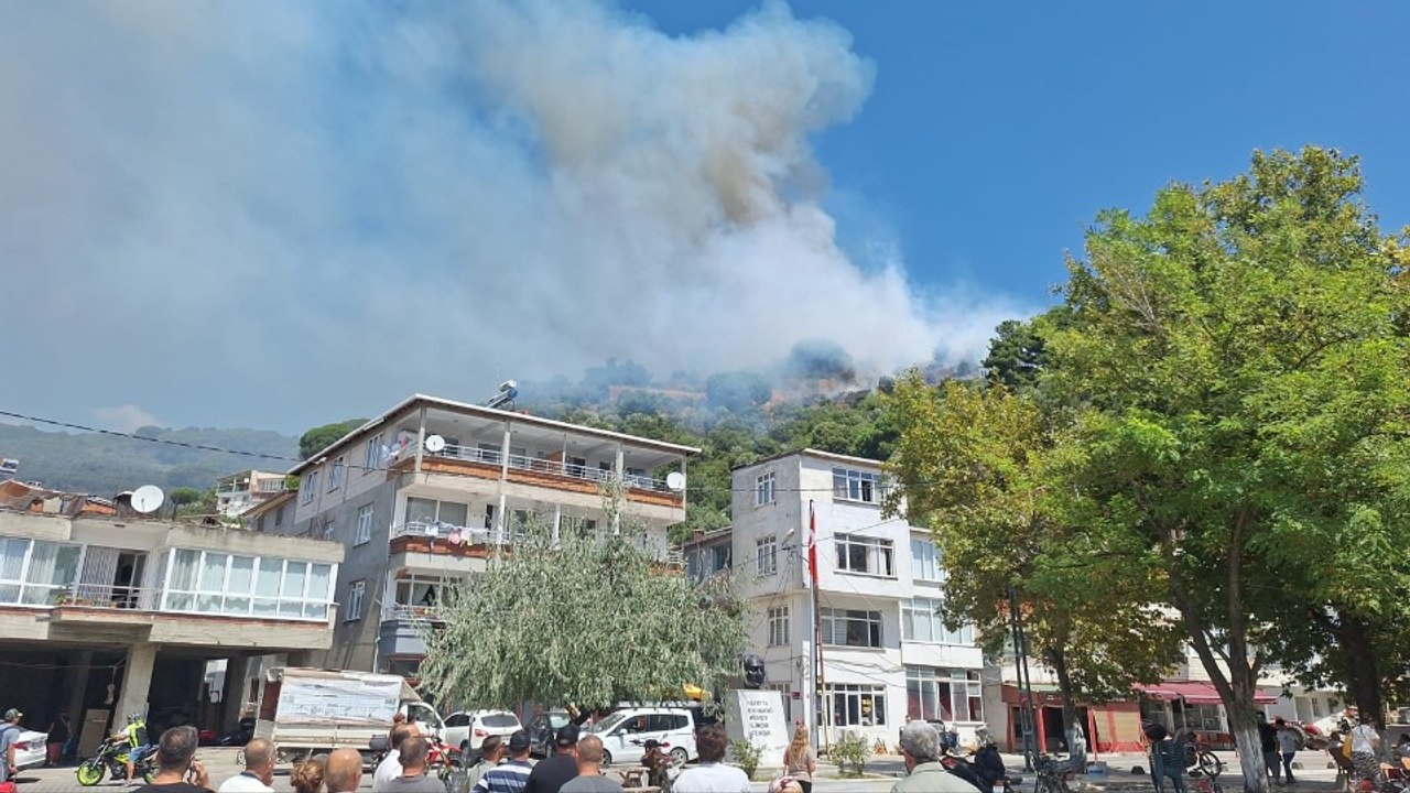 Marmara Adası'nda yangın