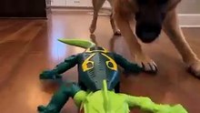 RC Climbing Lizard Toy – Wall-Climbing Chameleon with Remote Control