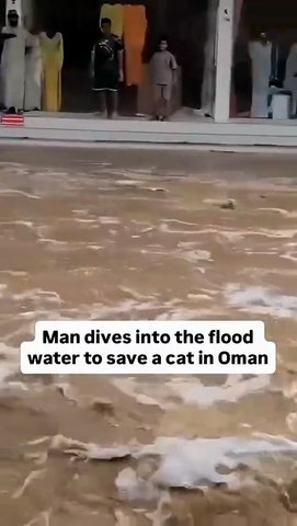 He Risked His Life to Save a Helpless Cat ❤️🐱 | Faith in Humanity Restored!