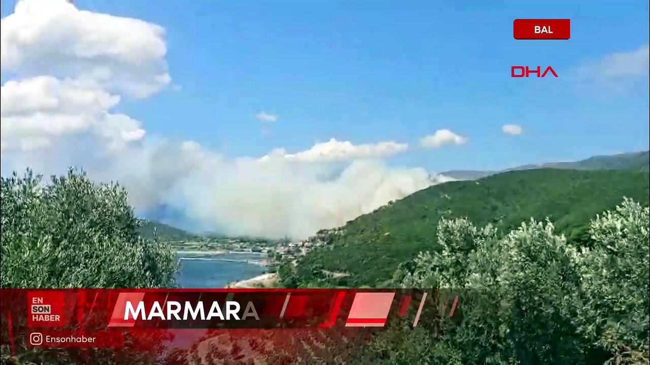 Balıkesir Marmara Adası’nda orman yangını