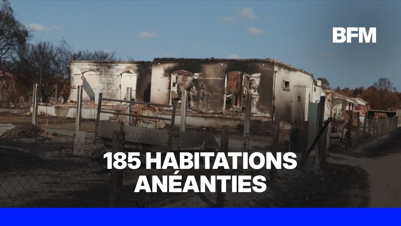 Gironde: les images du Porge dévasté par les incendies
