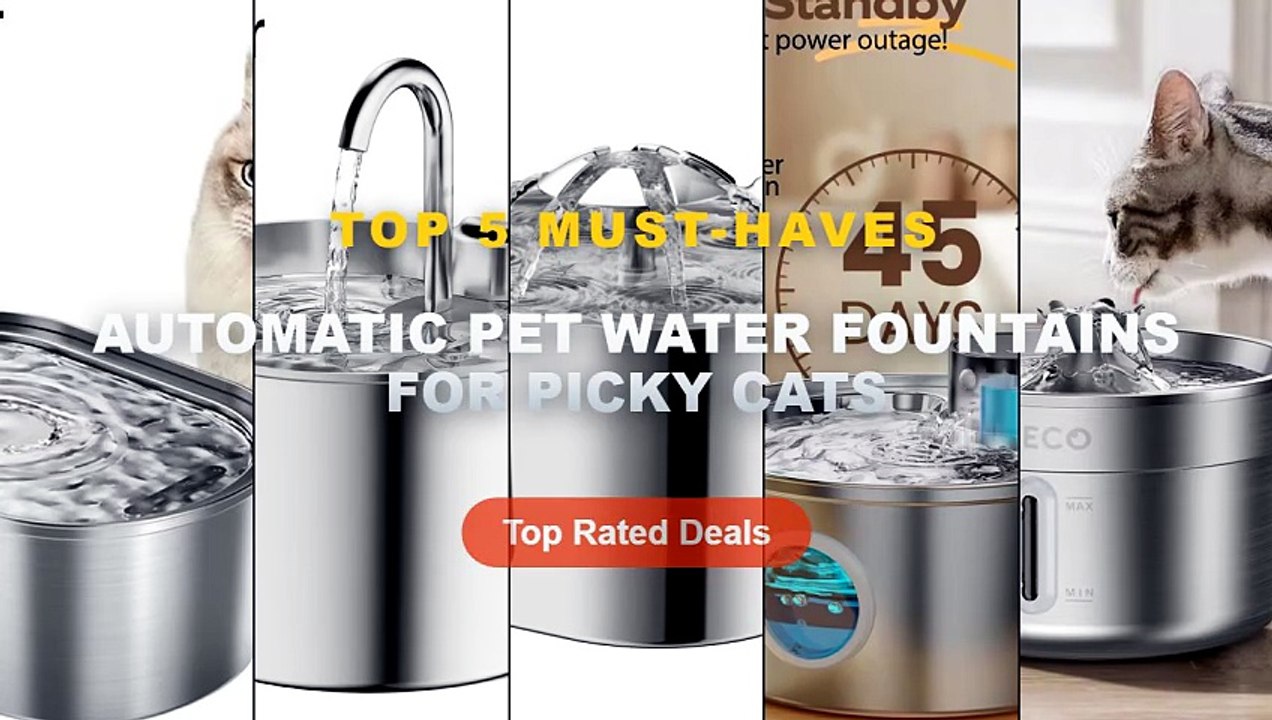 Don't Buy Automatic Pet Water Fountains For Picky Cats Before Watching This! - Smart Cat Water Fountain Automatic Drinke...