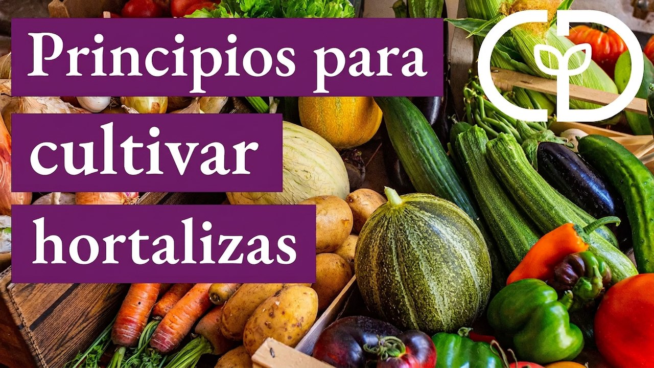 La segunda parte de mi nuevo libro de cultivo sin cavar: cómo cultivar