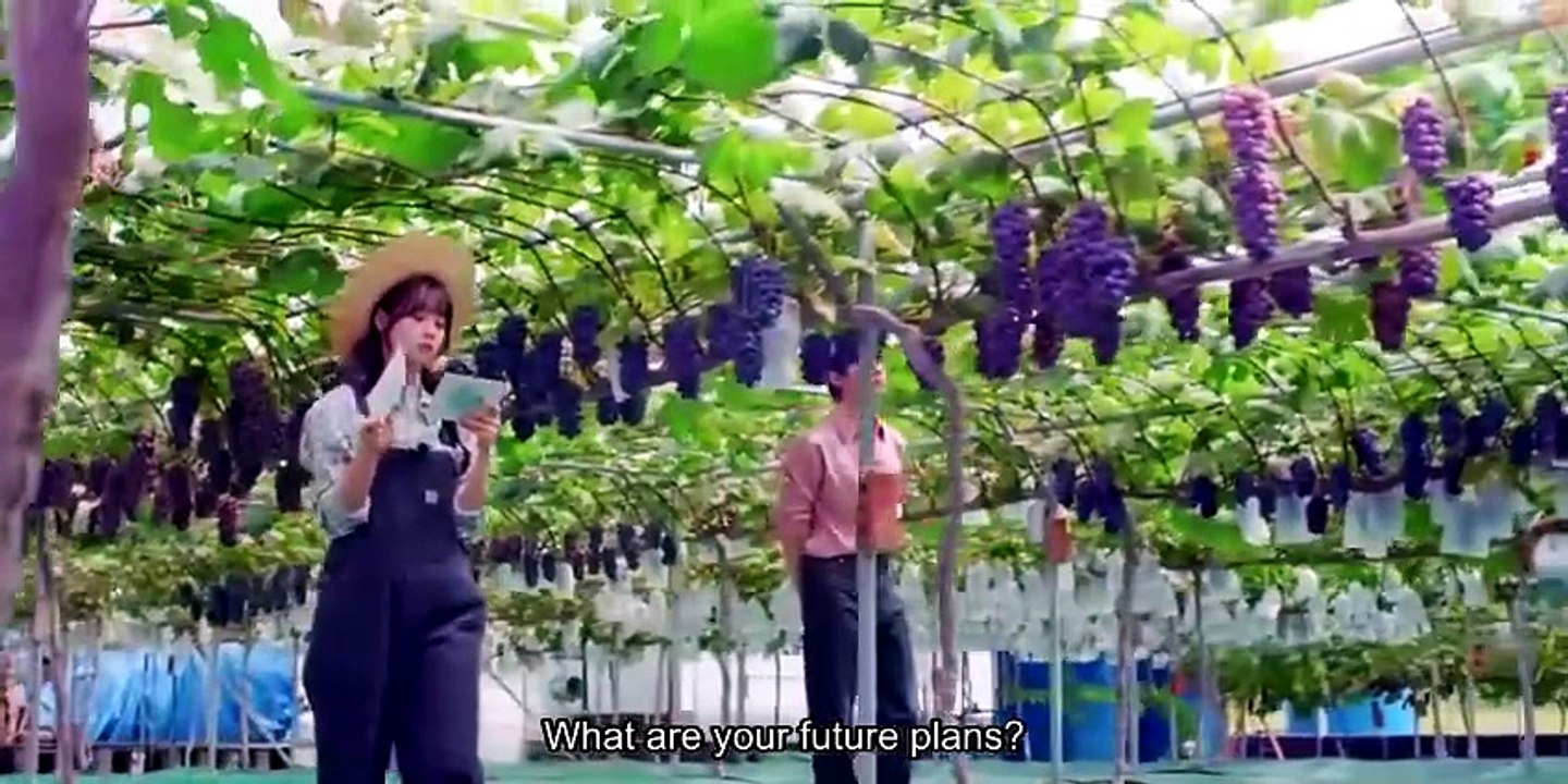 English Sub 💎 D.R.E.A.M T.O Y.O.U (2026) - Episode 2 ✨   Asian Series EN SUB [Full Movie]_848x424