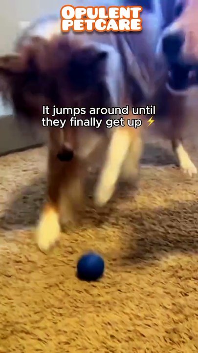 Smart Bouncing Dog Ball – Interactive Bite-Resistant Pet Toy
