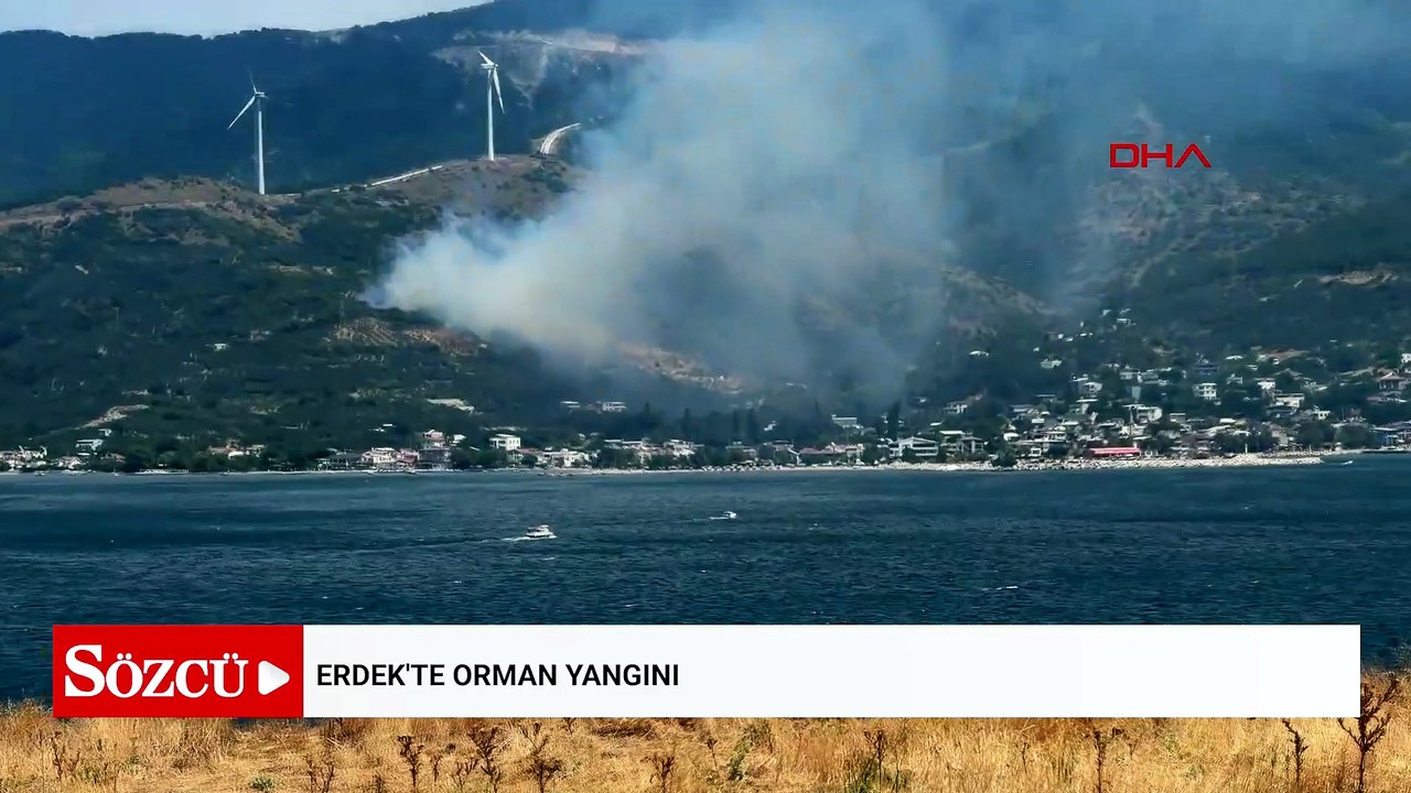Erdek'te orman yangını
