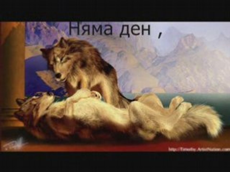 Wolf by Tina & bate pe6o