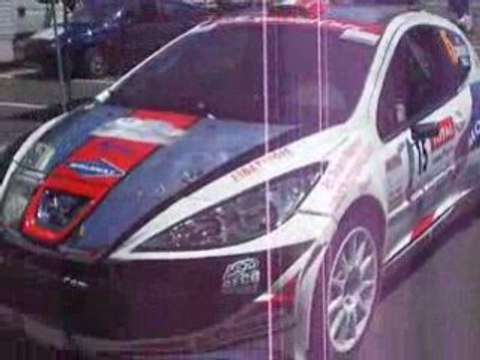 Canivenq 207 Super 2000 Rallye du Rouergue 2008 vérifs