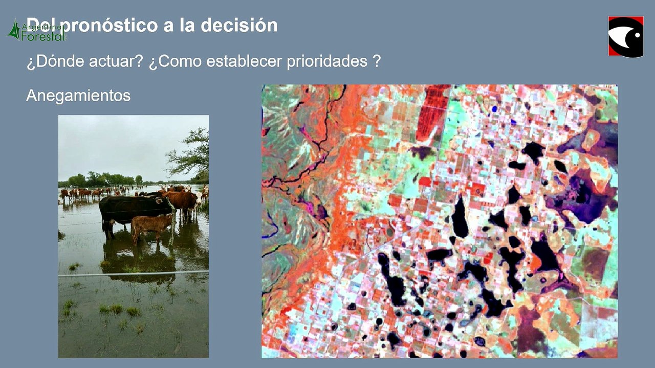 Dr. Ditmar Kurtz, del INTA Corrientes