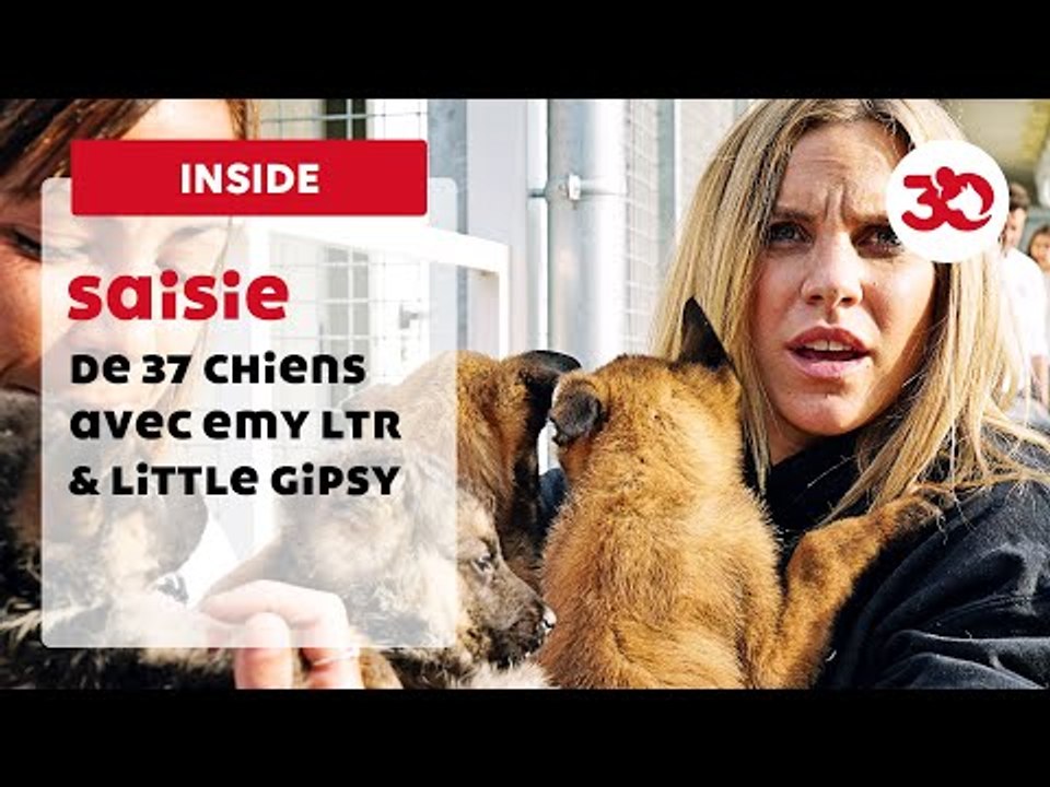 Little Gypsy Et Emy Ltr Viennent En Aide à 37 Chiens Avec La Fondation 30 Millions D'Amis | Sauvetage d'animaux