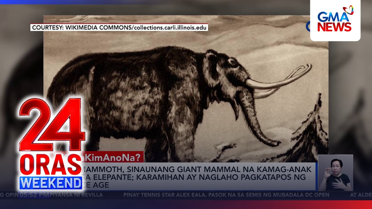 Fossils sa Danube River sa Bulgaria, pinaniniwalaang sa mammoth | 24 Oras Weekend