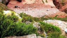 Berlengas