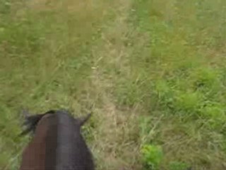 Galop chateau d'eau  montage