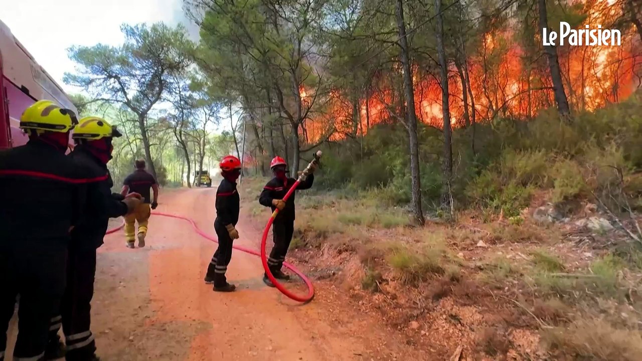 Feux dans le Var : des conditions climatiques « rarement connues  » 