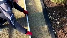 From Dirt to Dream Driveway: Satisfying Paver Transformation!
