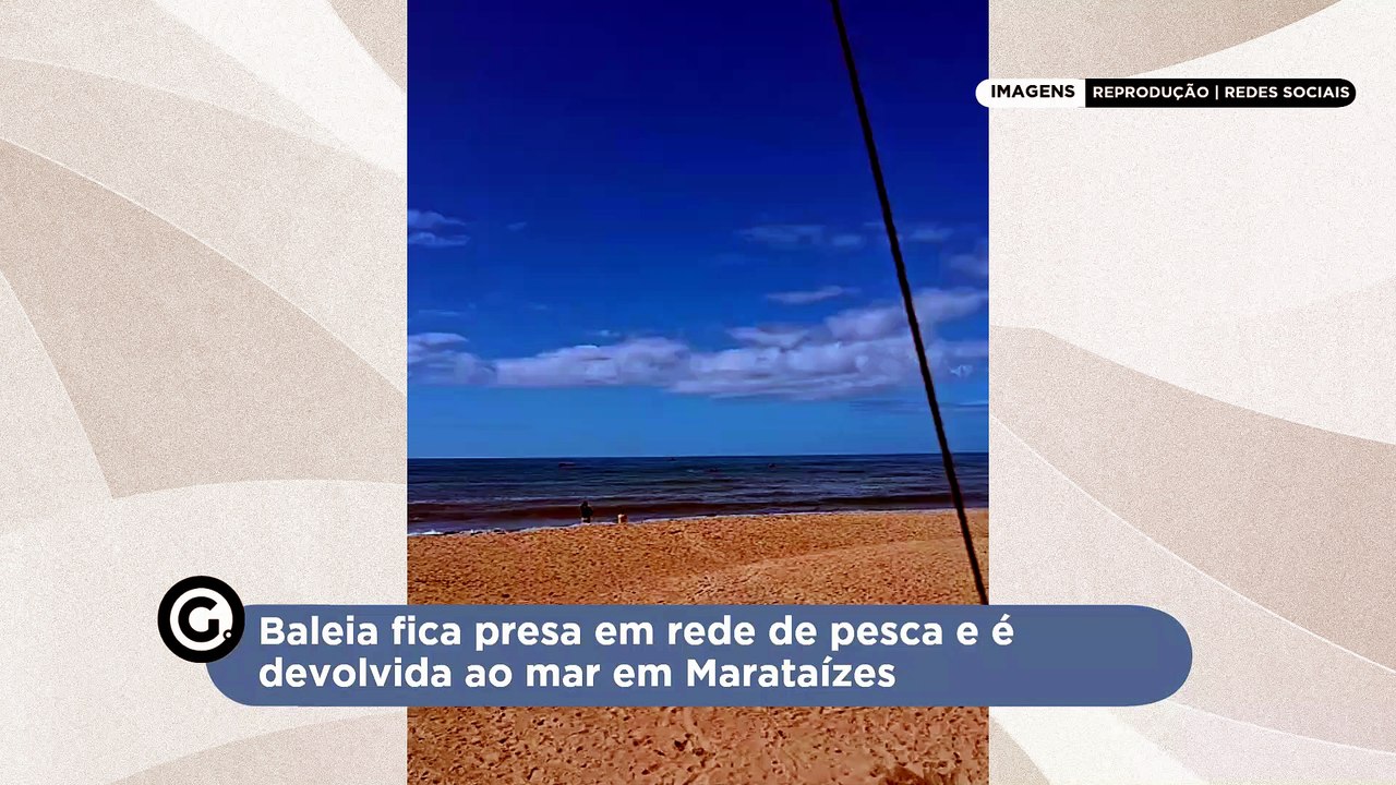 Baleia fica presa em rede de pesca e é devolvida ao mar em Marataízes