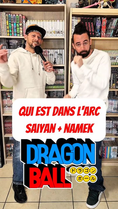 Qui est dans kes arcs des saiyans et de namek dans DRAGON BALL feat Orochi jidai