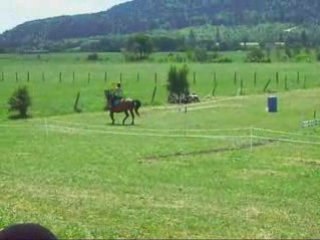 Journée cheval et plein air - parcour Géole