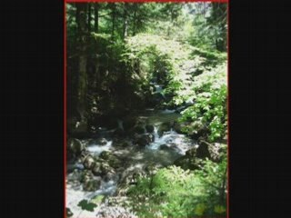 PROMENADE DANS LE MASSIF DE LA CHARTREUSE
