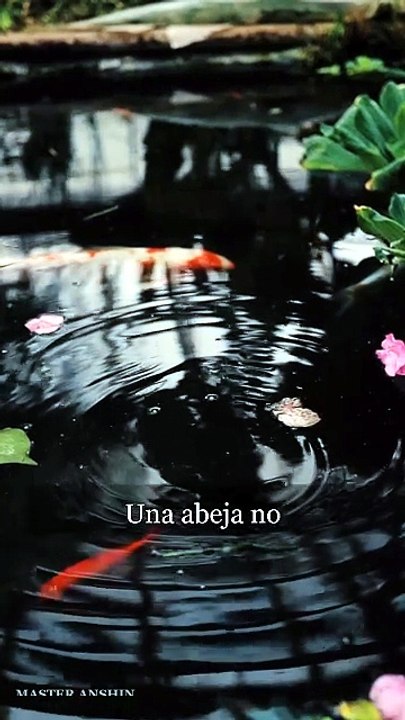 Ancient wisdom for a restless mind | Master Anshin