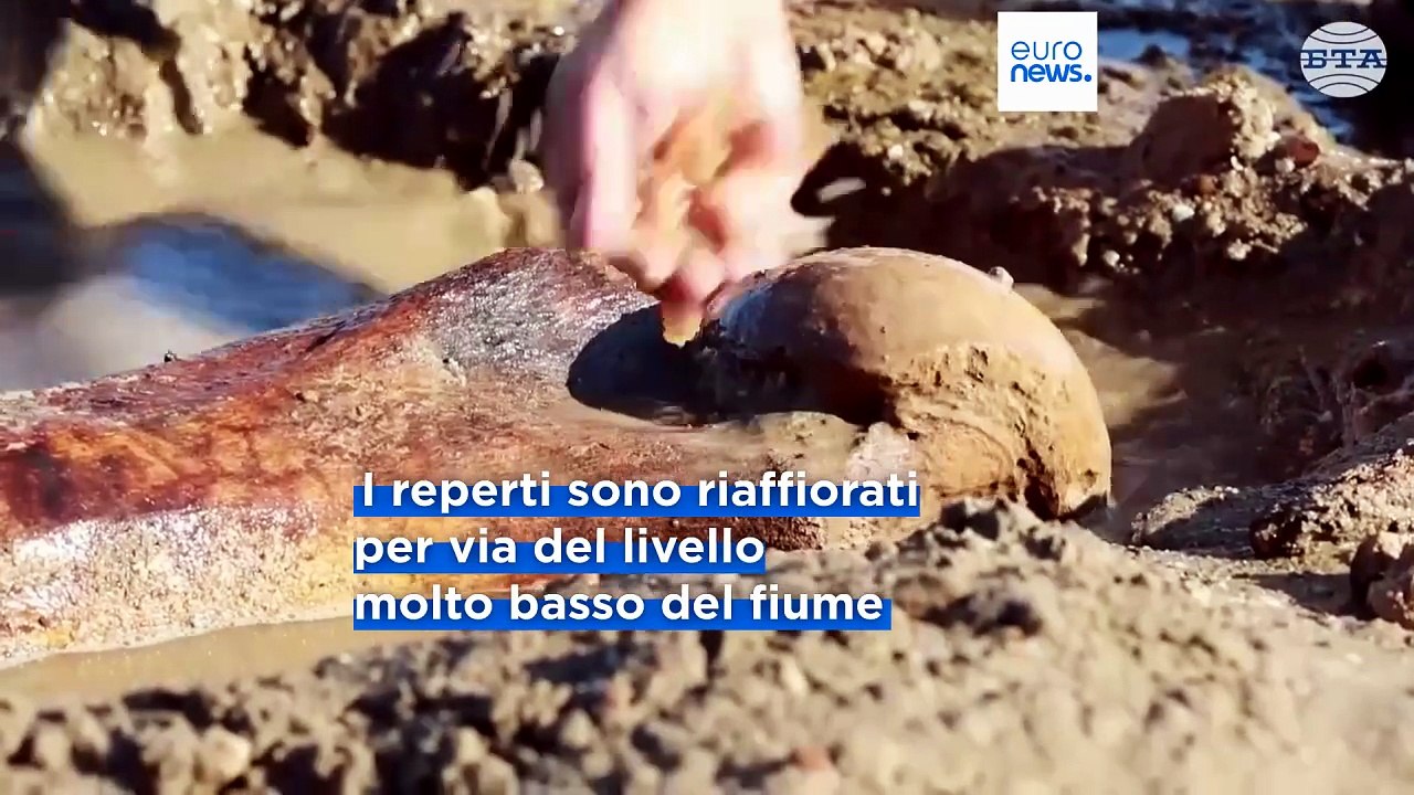 Le notizie del giorno | 01 agosto 2026 - Serale