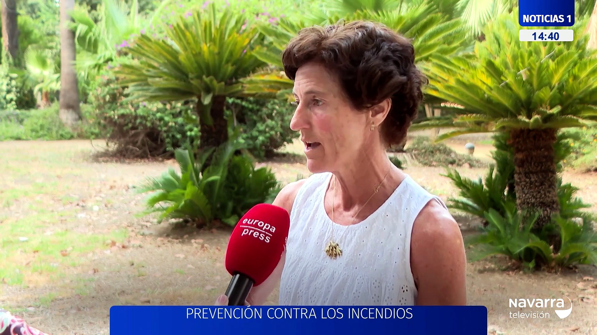 Noticias de Navarra 14:30h 01/08/2026