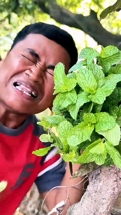 Lemon Spray Hacks for Survival Life Saving in the Forest