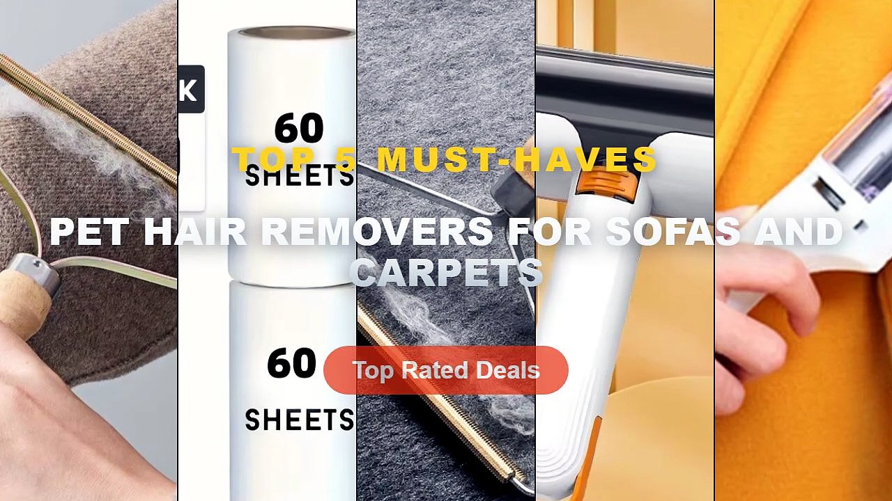 Top 5 Best Pet Hair Removers For Sofas And Carpets (Must Have!)
