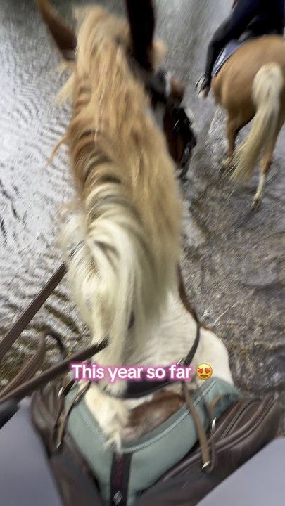 This year so far