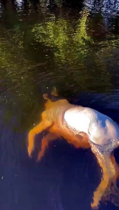 The monster beneath the surface.. 🔥