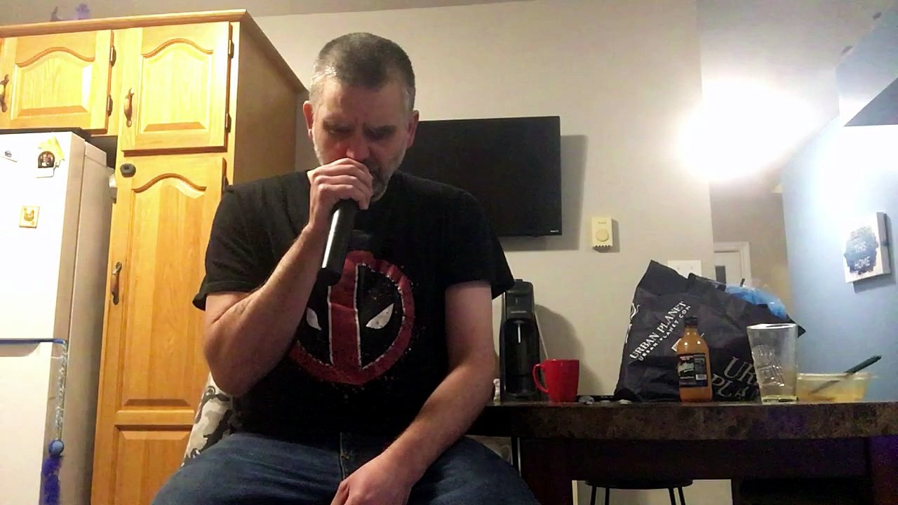 The Smashing Pumpkins - 1979 (Cover)