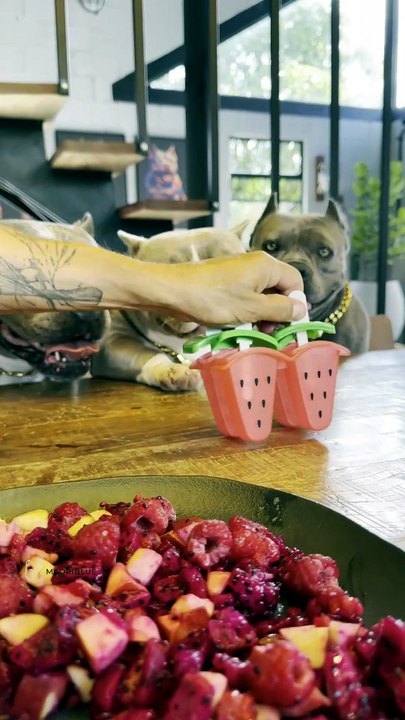 Picolé de Framboesa, Pitaya e Maçã 🤩🐾