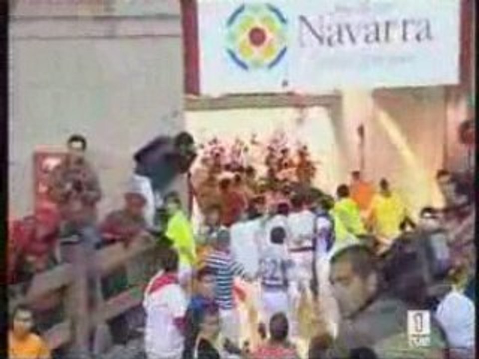 ENCIERRO PAMPELUNE 10 JUILLET 2008 : TOROS D'EL VENTORILLO