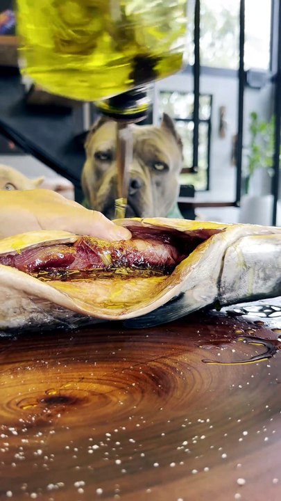 Peixe Assado Temperado com Suco de Limão e Hortelã 🤩🐾