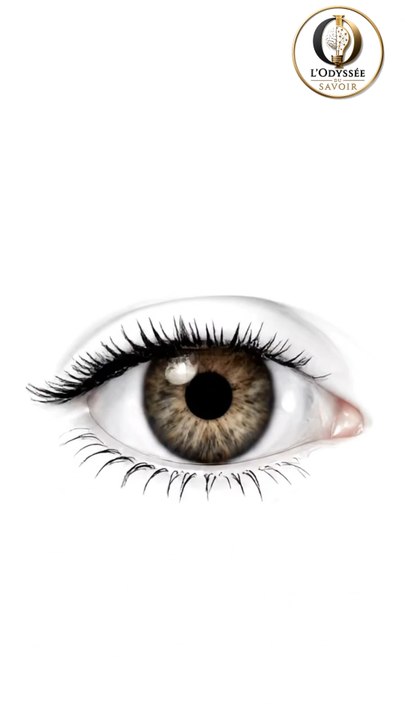 Tes yeux voient le monde à l'envers.