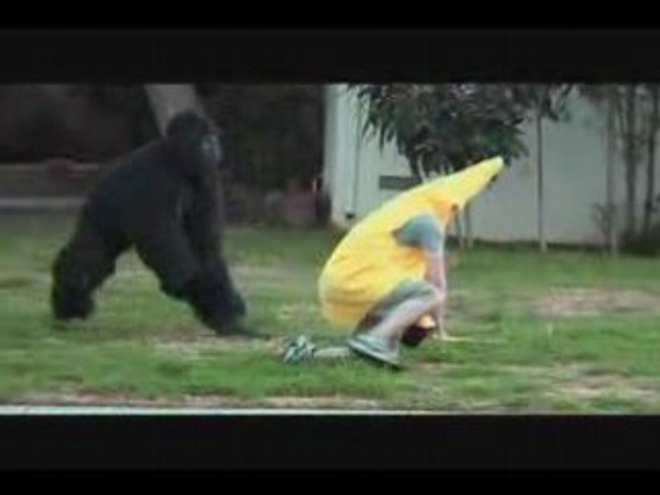 Gorilla Chilla vs. Banana Man