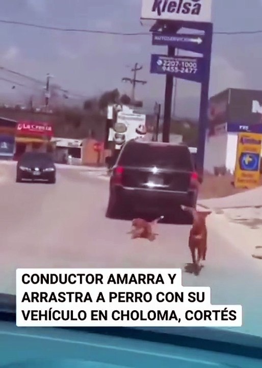 Vehículo arrastra a un perro en Choloma.