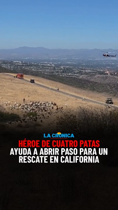 Héroe de cuatro patas ayuda a abrir paso para un rescate en California