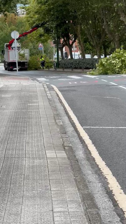 La poda llega cuando llega el Circuito de Getxo... y reabre el debate sobre el abandono de las zonas verdes.