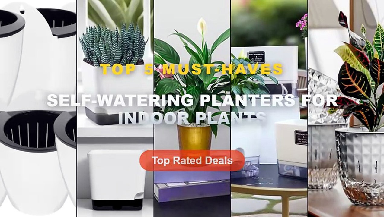 Ultimate Guide to the Best Self-Watering Planters For Indoor Plants