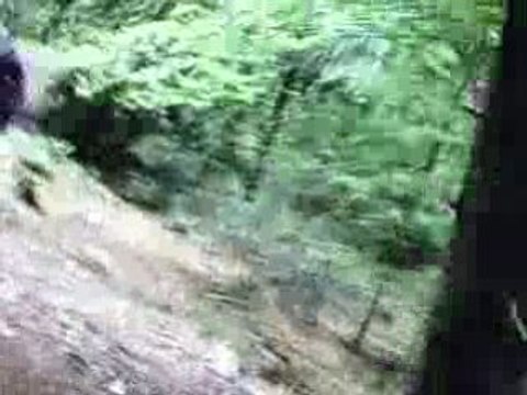 dh ventoux caméra embarquée