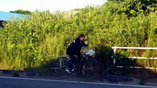 Ignoring New Cycling Laws in Japan !