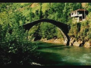 TURKEY İN RİZE