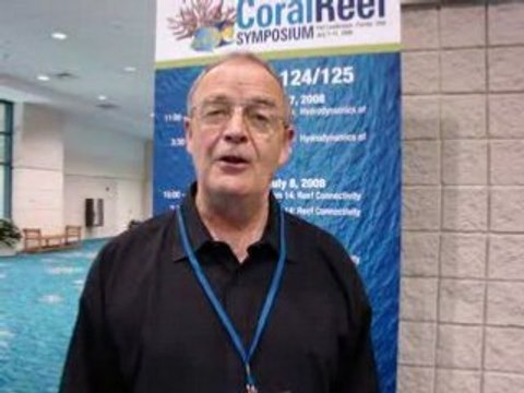 Tim Radford's thoughts on snorkelling