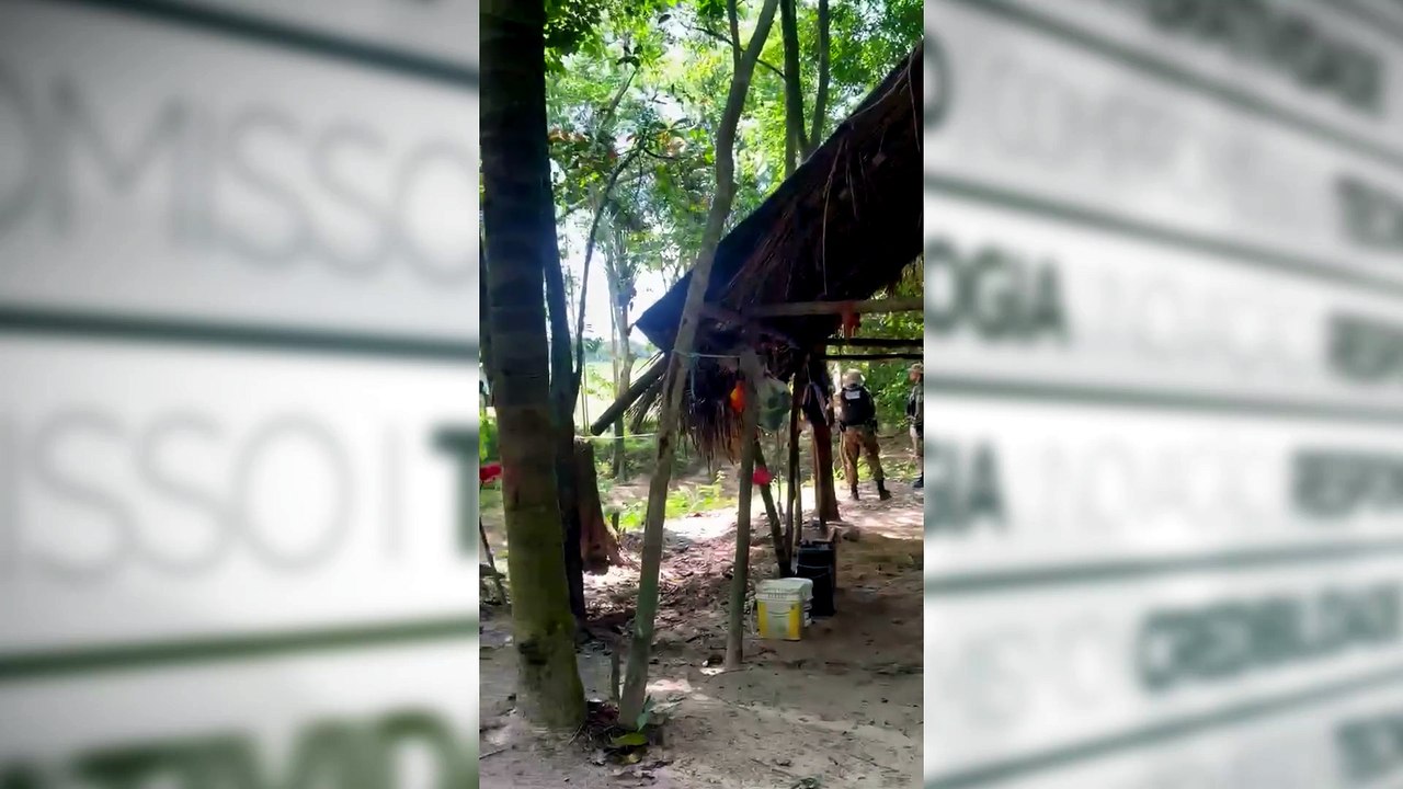 PF incinera mais de 60 mil pés de maconha em Terra Indígena