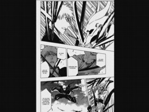 Bleach scan 317 FR