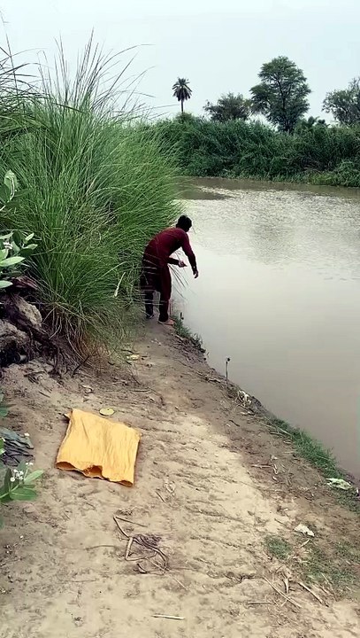 Pani me gai machli